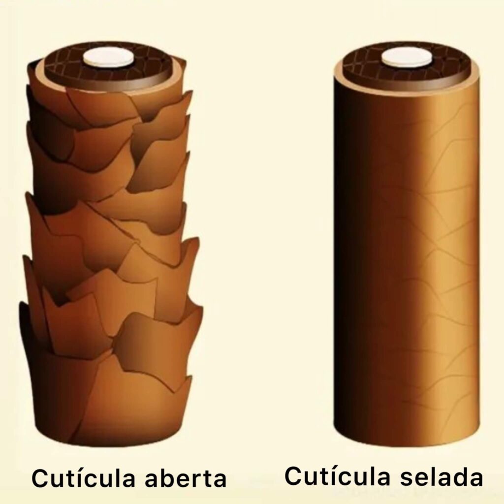 Cuticula capilar aberta e cuticula capilar fechada
